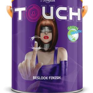 MYKOLOR TOUCH  BESLOOK FINISH